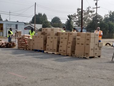 Volunteered in food distribution programs during COVID-19 Pandemic