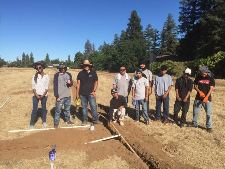 120 trees with an irrigation system at the North Parcel of the 49-acre park site